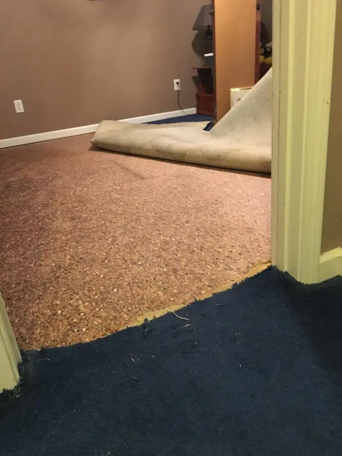 Carpet pad removal revealing water damage during Water Mitigation Services in North Chicago