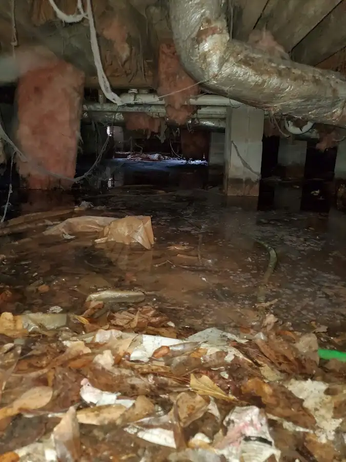 Crawl space flood assessment for Commercial Water Damage Restoration in North Chicago
